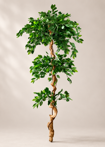 Artificial Cascading Ficus Topiary Plant - 6 Feet