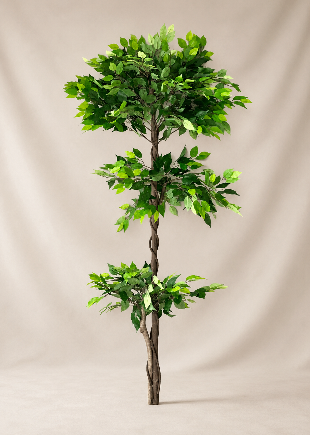 Artificial Verano Ficus Plant - 6 Feet