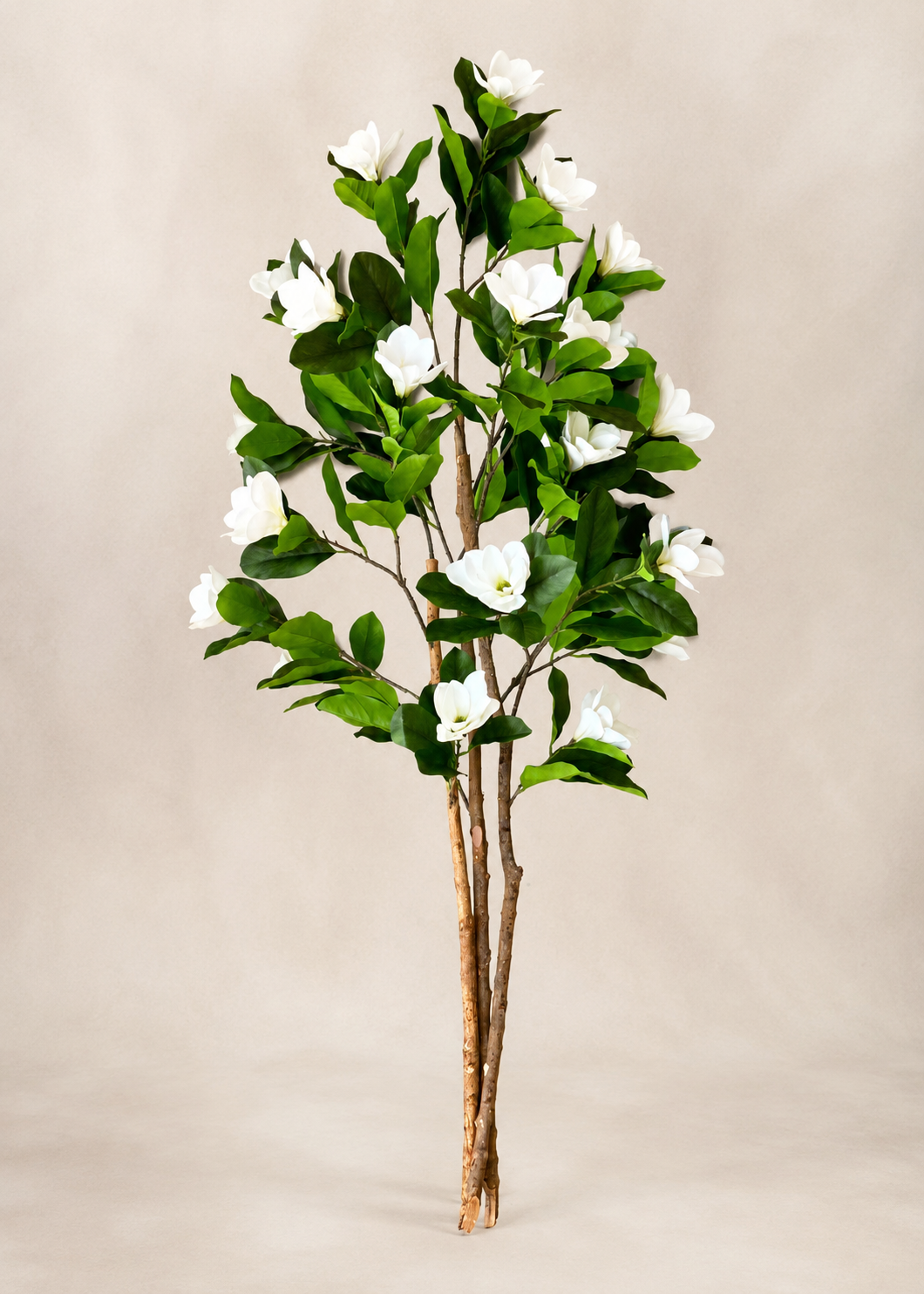 Artificial Magnolia Plant - 6 Feet