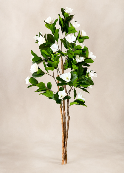 Artificial Magnolia Plant - 6 Feet