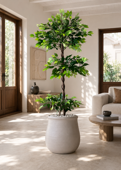 Artificial Verano Ficus Plant - 6 Feet