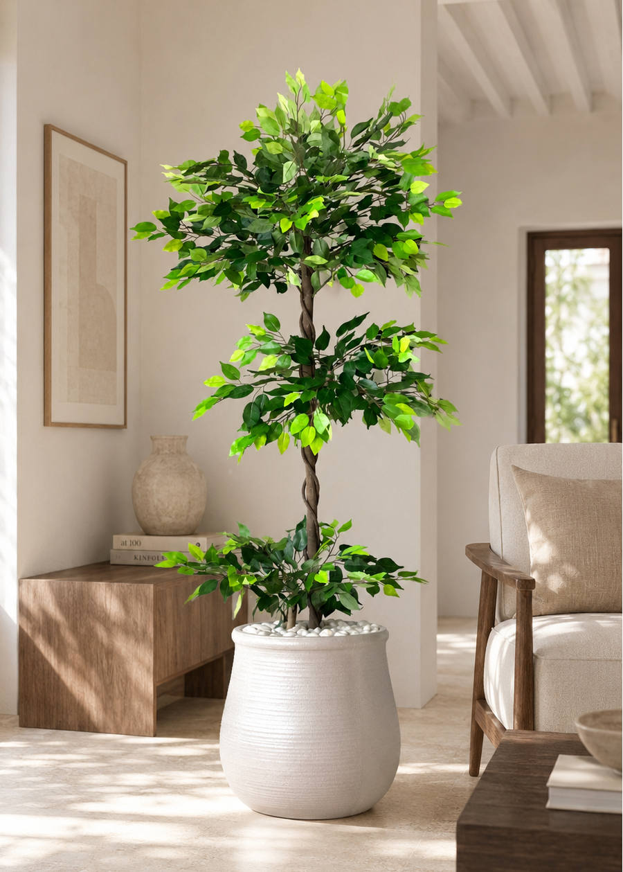 Artificial Verano Ficus Plant - 6 Feet