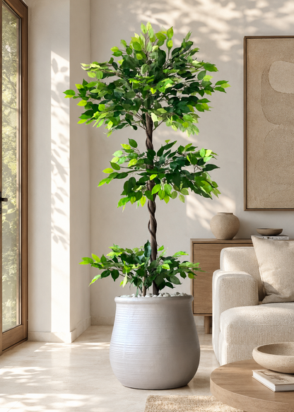 Artificial Verano Ficus Plant - 6 Feet