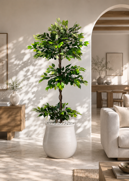 Artificial Verano Ficus Plant - 6 Feet