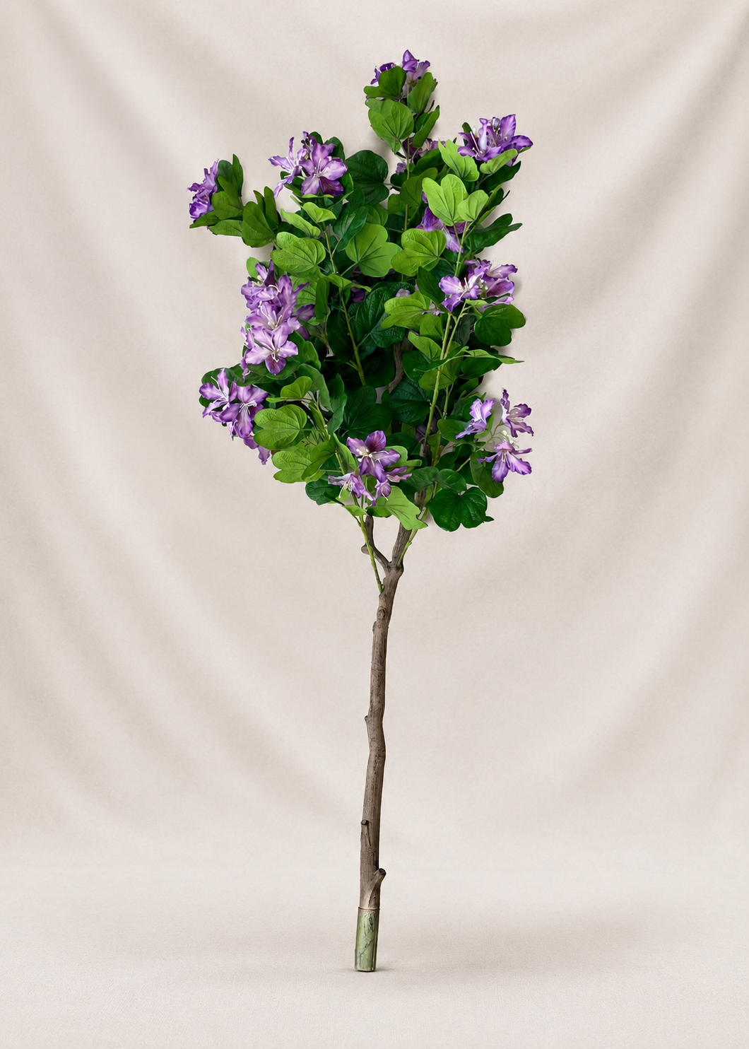 Artificial Lilac Bauhinia Plant -  5 Feet