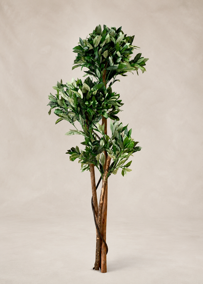 Artificial Bay Topiary Plant - 5 Feet