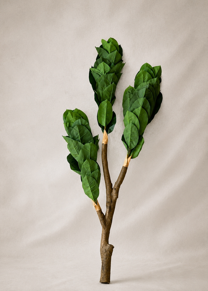 Artificial Green Rubber Plant - 5.5 Feet