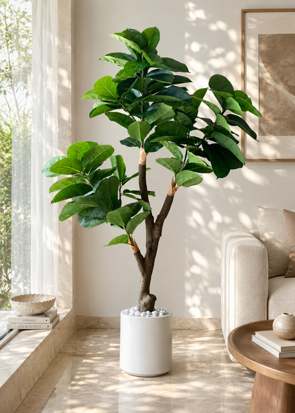 Artificial Green Rubber Plant - 5.5 Feet