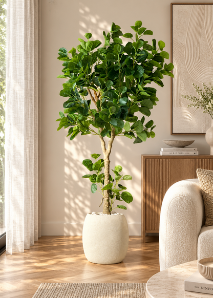 Artificial Fabled Ficus Plant - 5.5 Feet