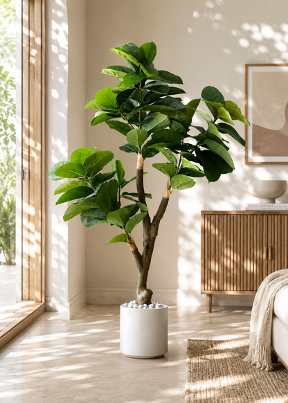 Artificial Green Rubber Plant - 5.5 Feet