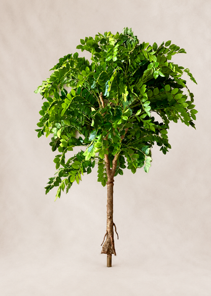 Artificial Evergreen Plant - 5 Feet