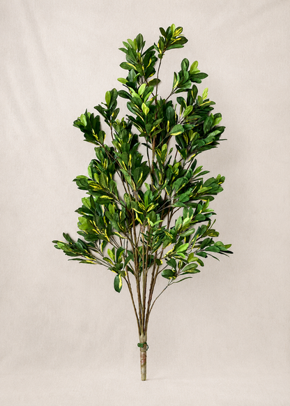 Artificial Schefflera Plant - 5 Feet