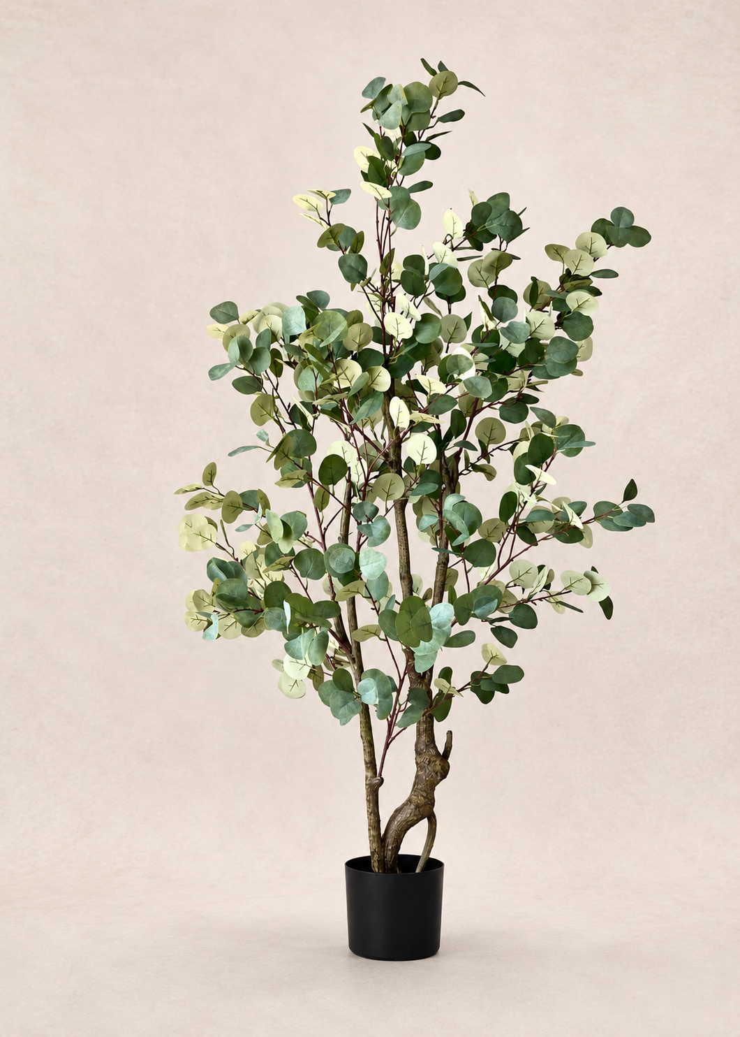 Artificial Eucalyptus Plant - 5 Feet