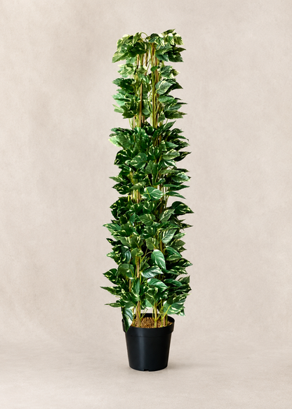 Artificial Moss Pole Money Plant - 5 Feet