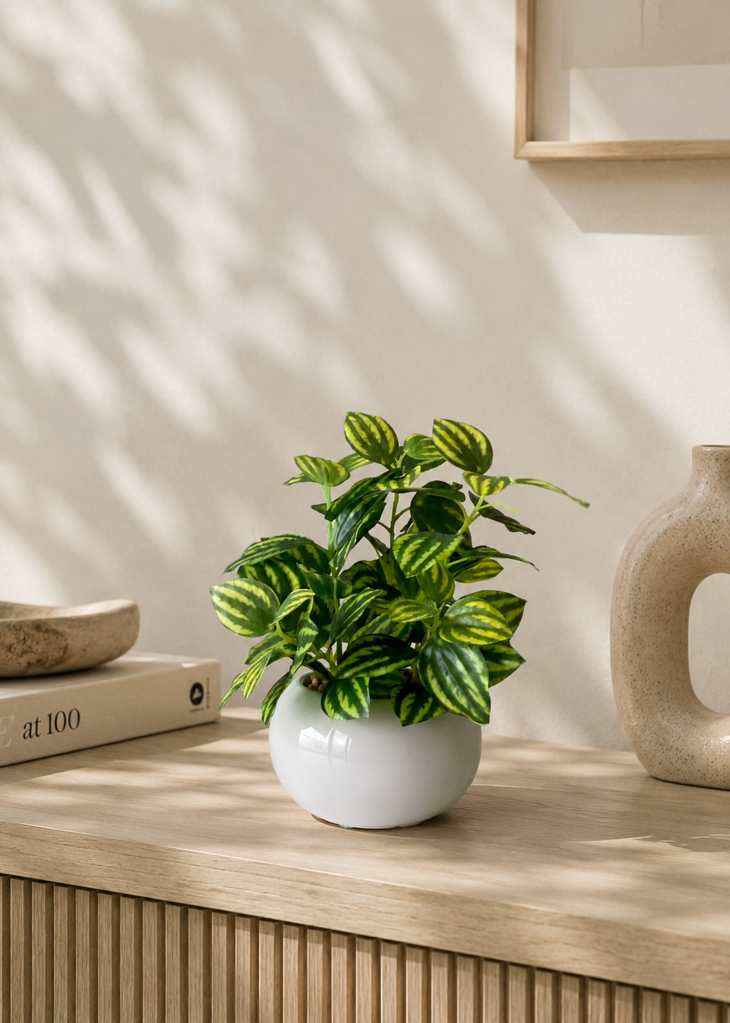 Artificial Parallel Peperomia Plant