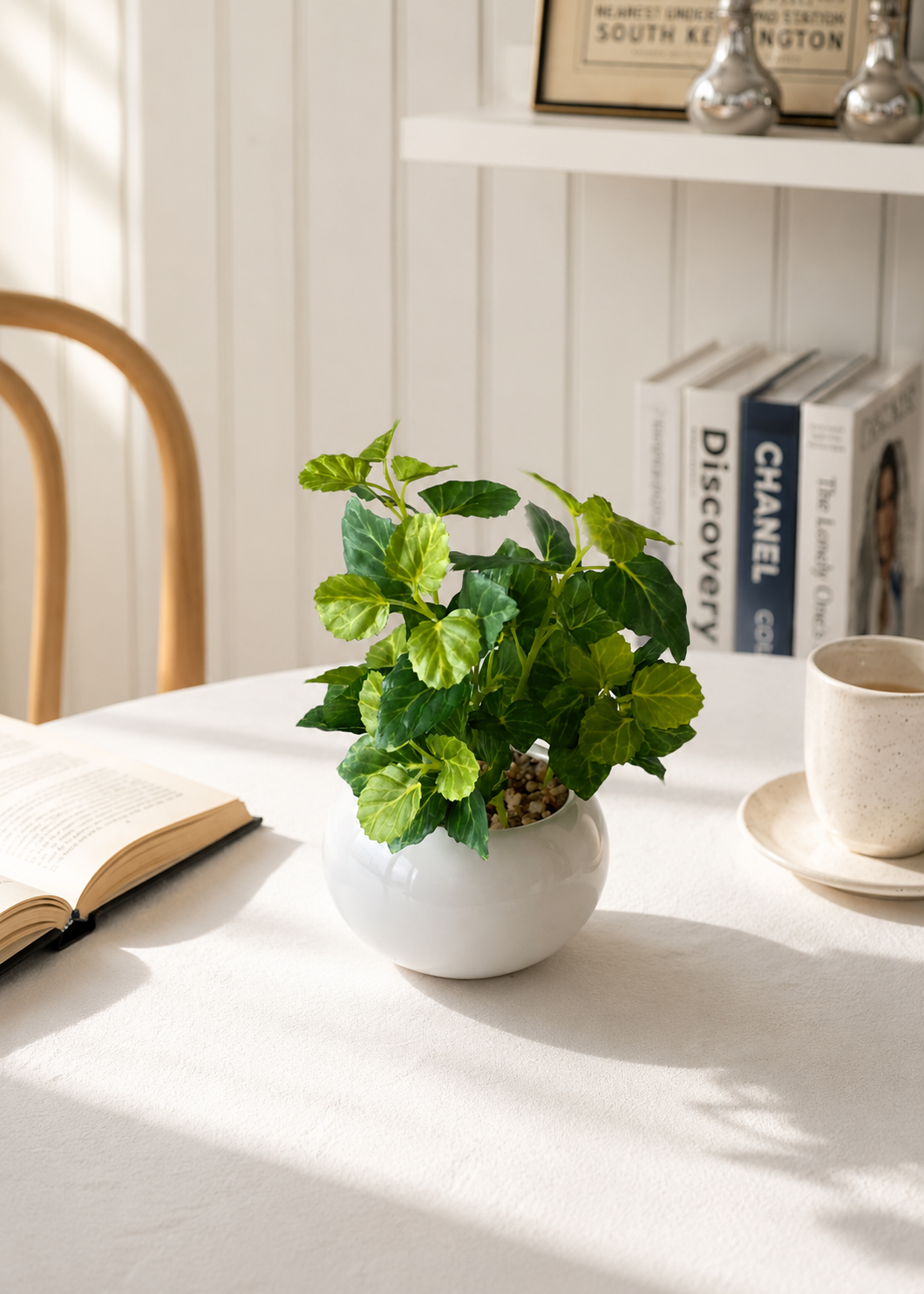Artificial Variegated Aralia Plant
