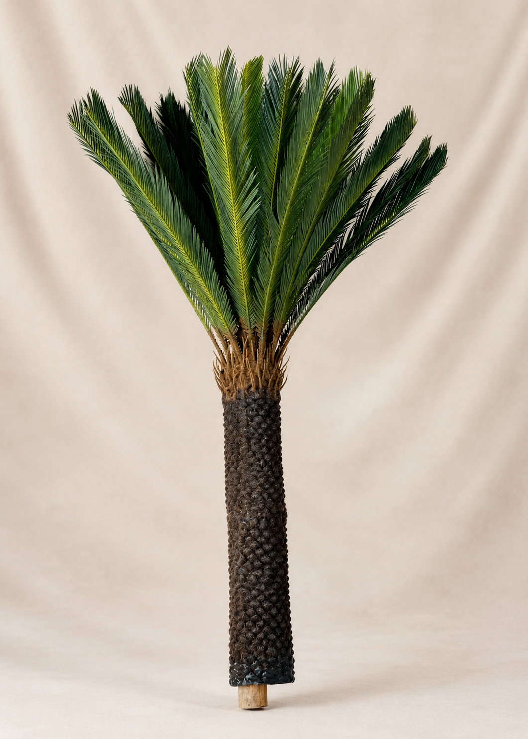 Artificial Sago Cycas Plant - 5 Feet