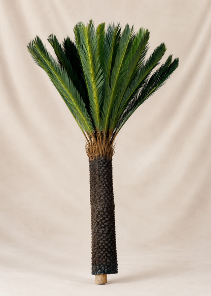 Artificial Sago Cycas Plant - 5 Feet