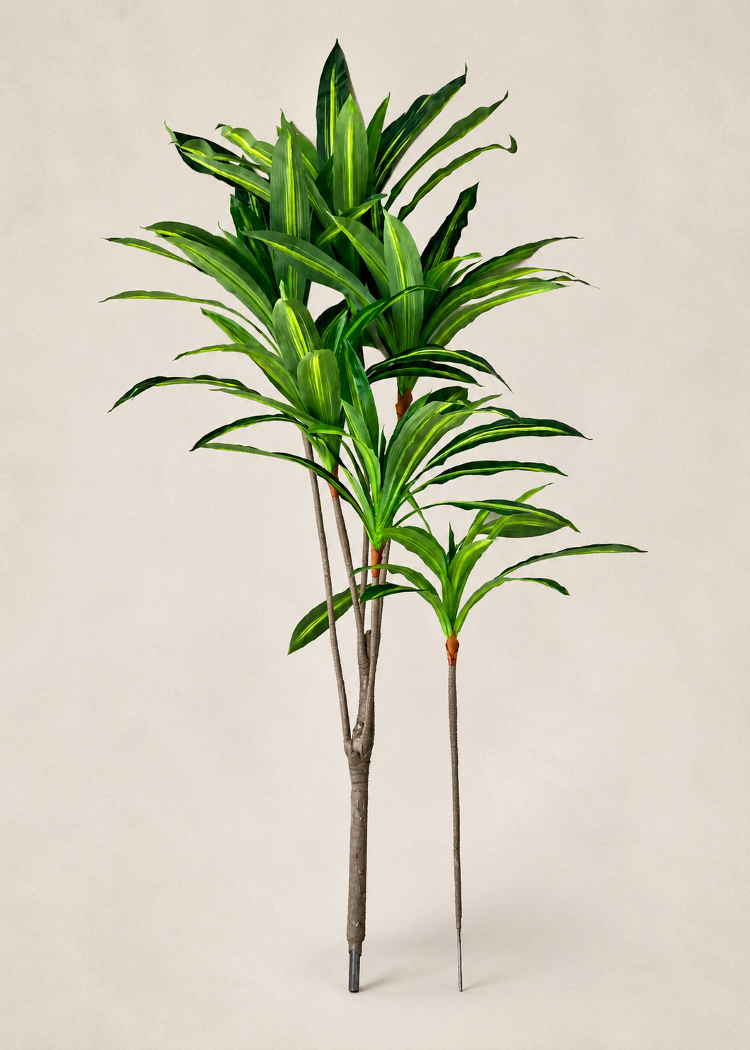 Artificial Serene Dracaena Plant - 5.5 Feet