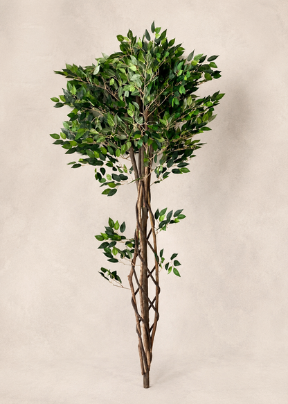 Artificial Verdant Grove Ficus - 5 Feet