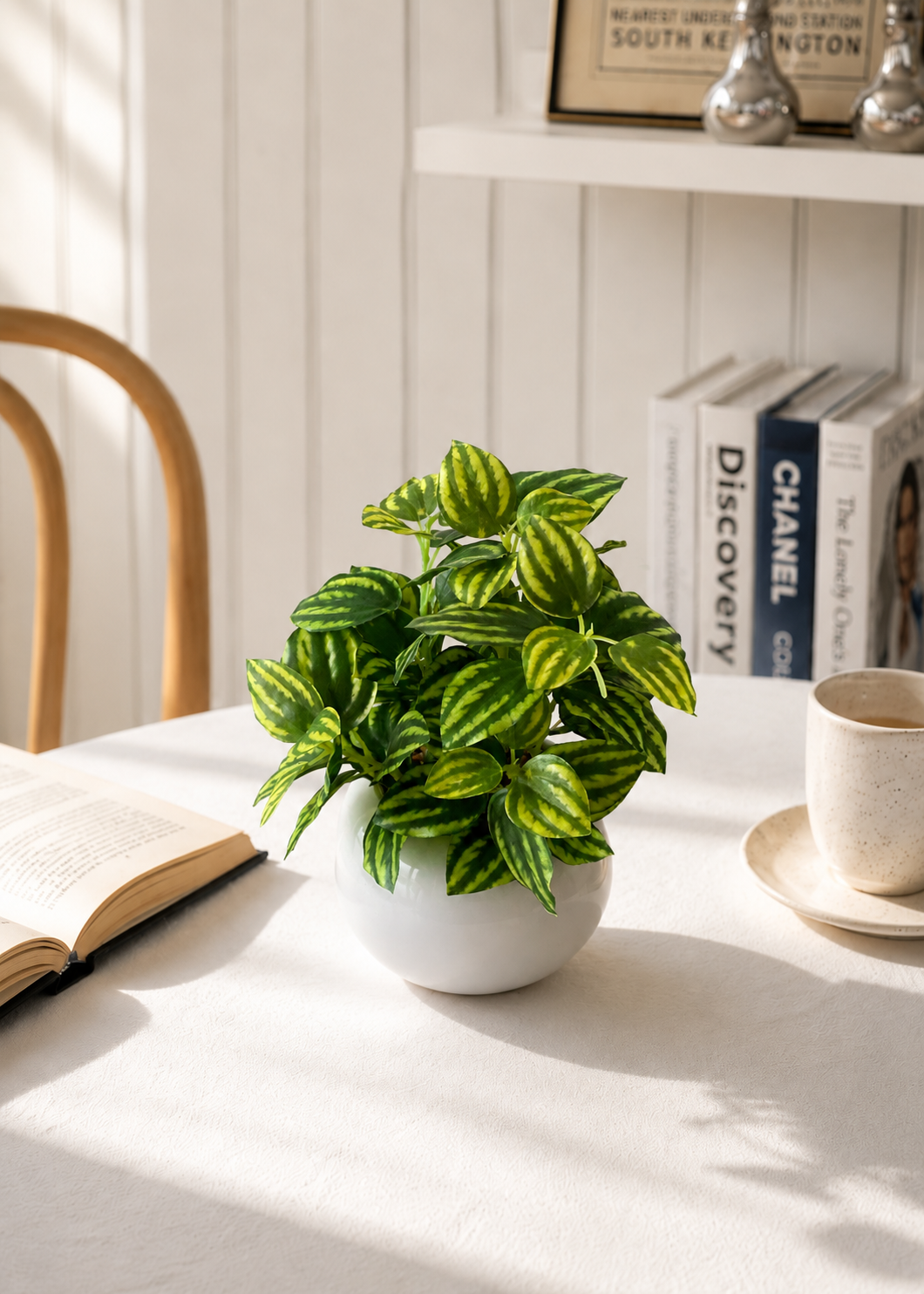 Artificial Parallel Peperomia Plant