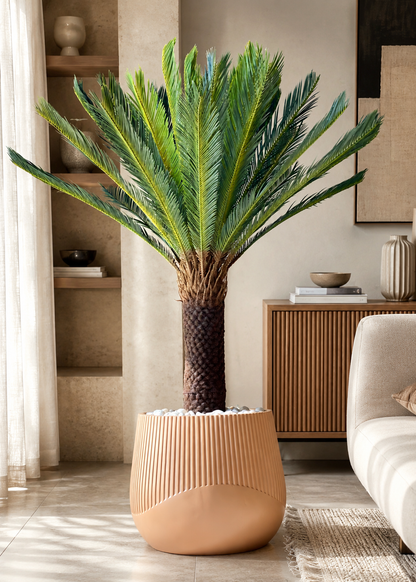 Artificial Sago Cycas Plant - 5 Feet