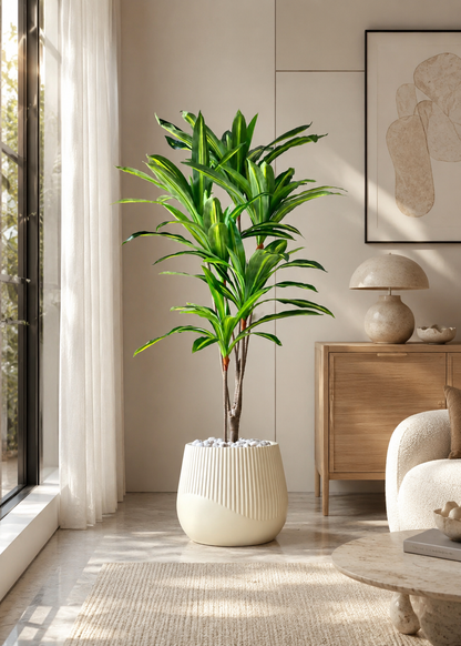 Artificial Serene Dracaena Plant - 5.5 Feet