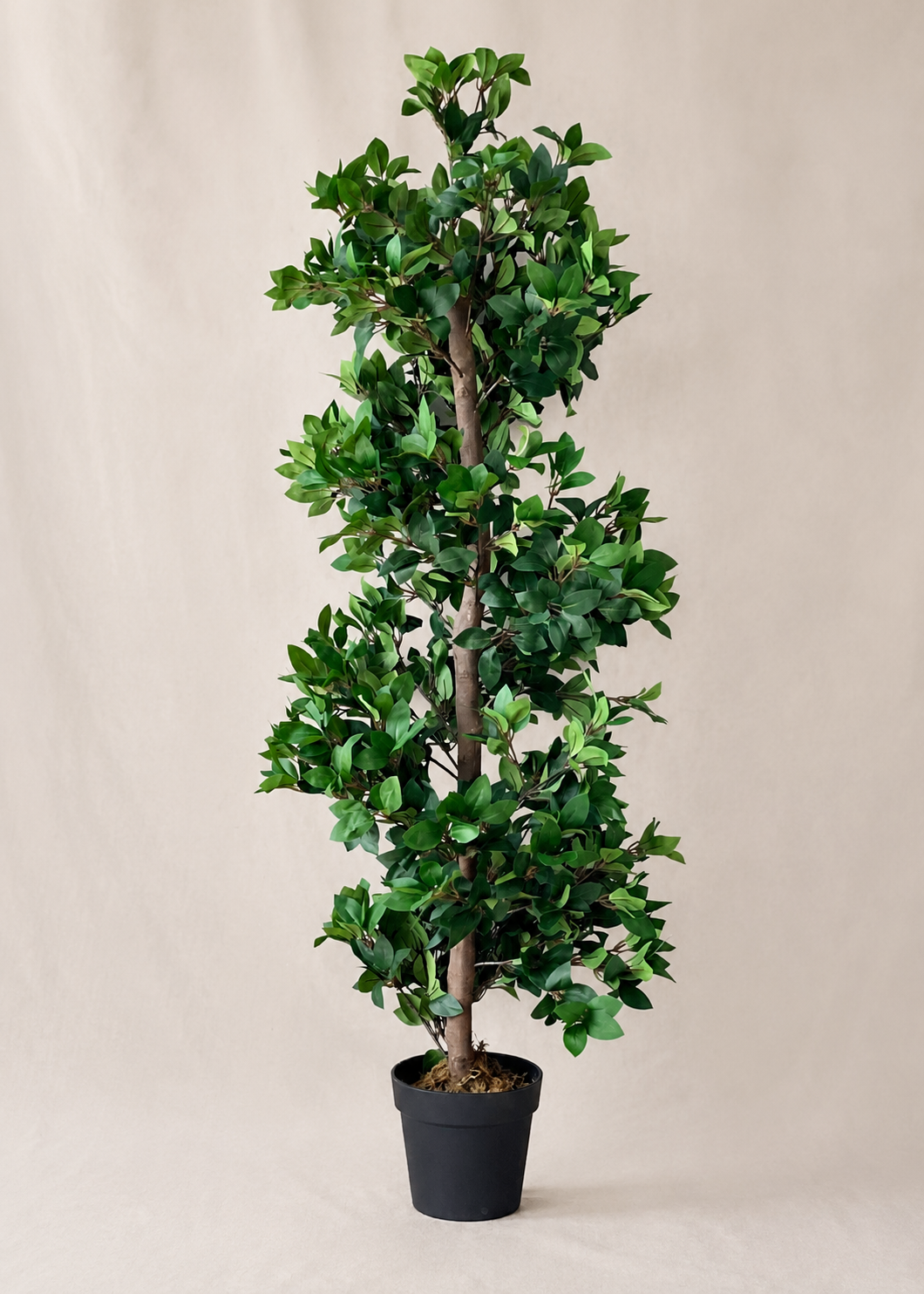 Artificial Topiary Plant - 5 Feet