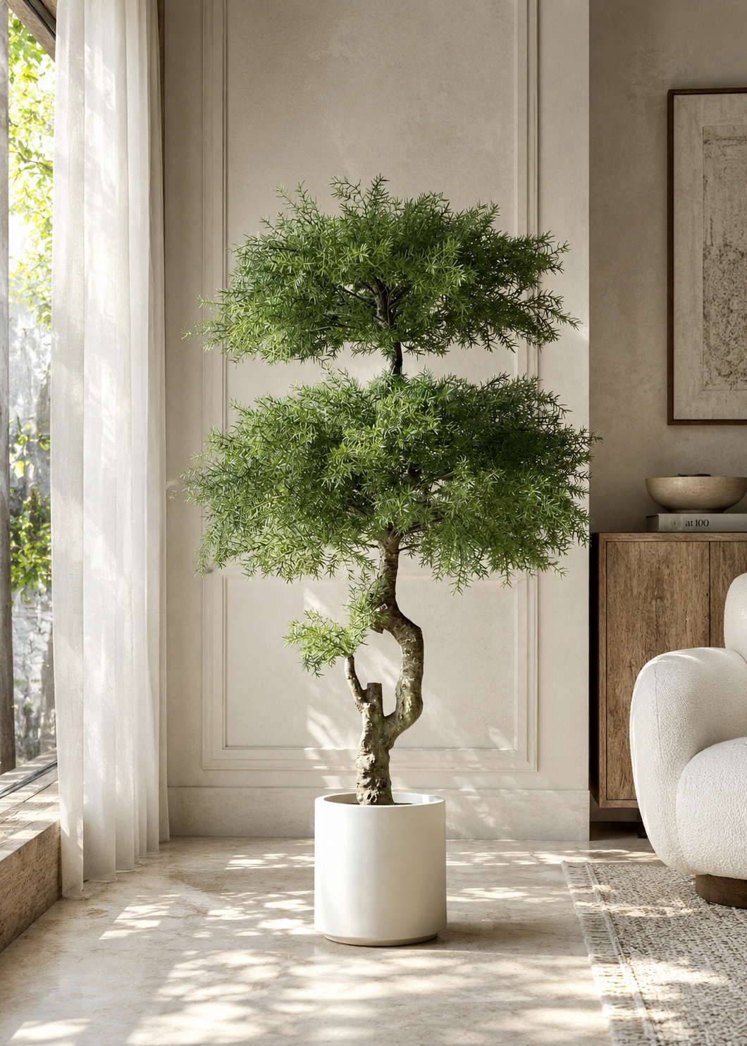 Artificial Australian Cedar Bonsai Plant - 5.5 Feet