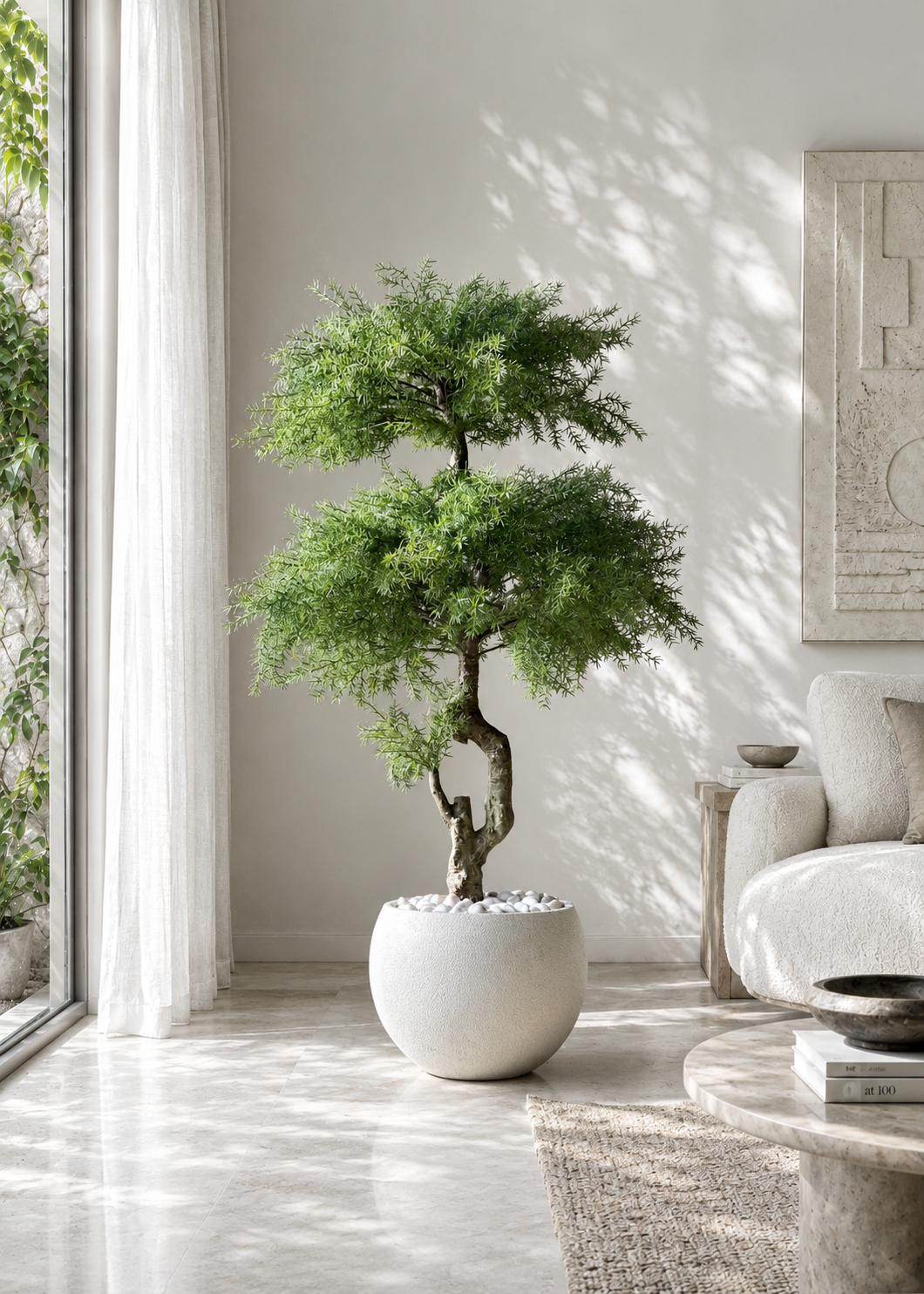 Artificial Australian Cedar Bonsai Plant - 5.5 Feet