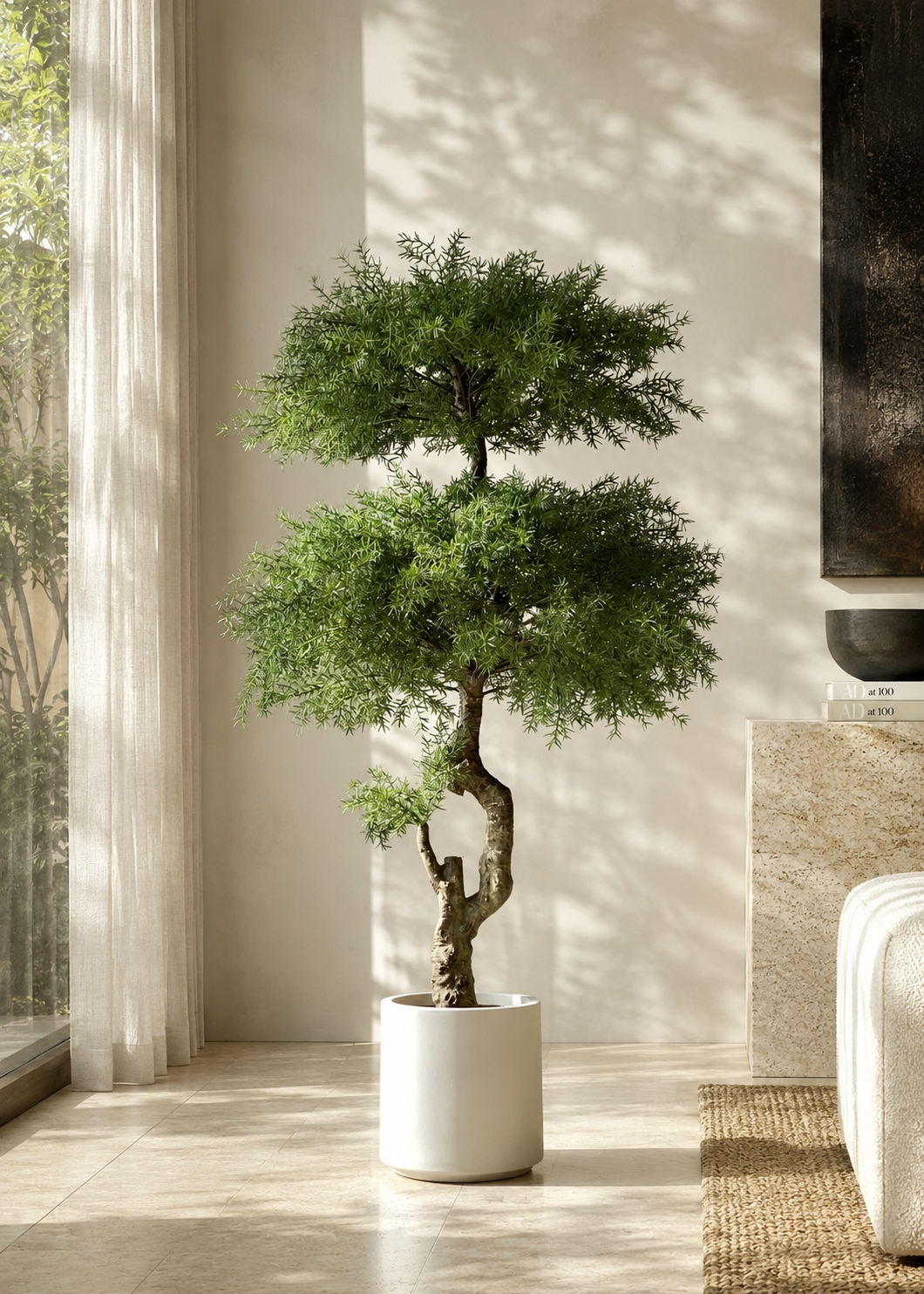 Artificial Australian Cedar Bonsai Plant - 5.5 Feet