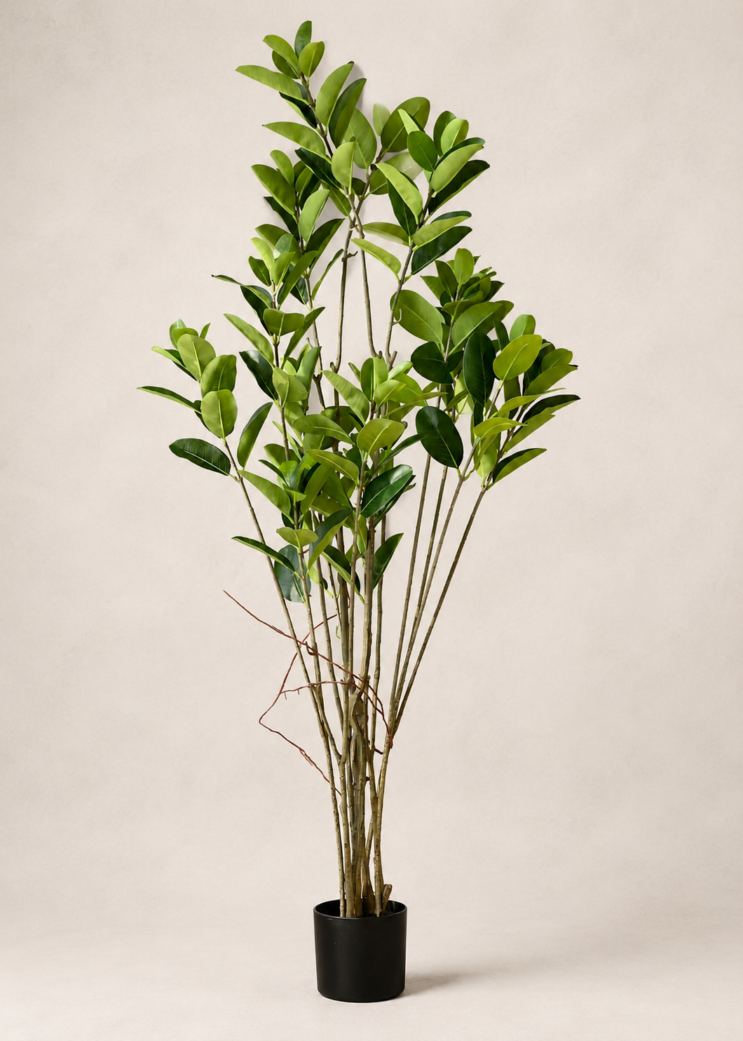 Artificial Magnolia Leaf Plant - 5.5 Feet