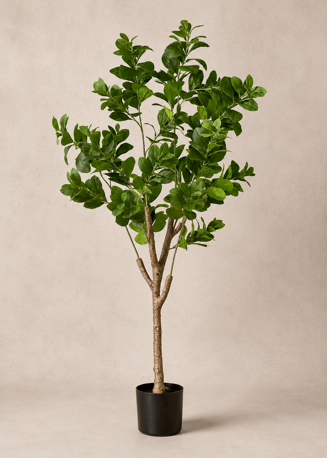 Artificial Dense Peperomia Plant - 5 Feet