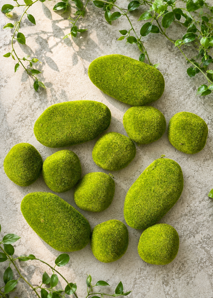 Moss Ball (Pack Of 12)