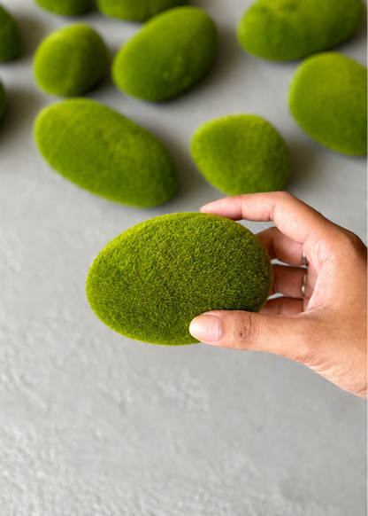 Moss Ball (Pack Of 12)