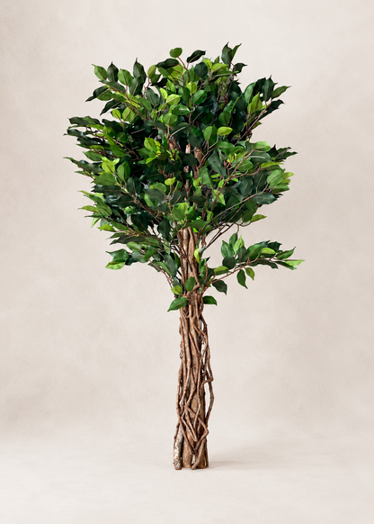 Artificial Wild Ficus Plant - 4 Feet