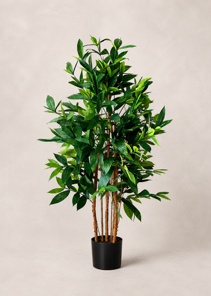 Artificial Dracaena Surculosa Plant - 4 Feet