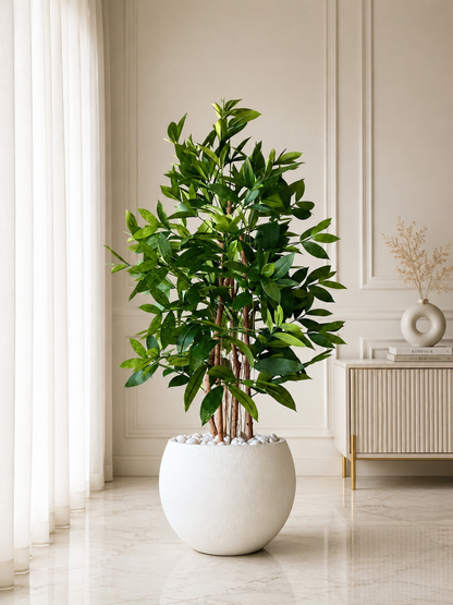 Artificial Dracaena Surculosa Plant - 4 Feet