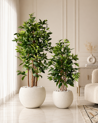 Artificial Dracaena Surculosa Plant - 4 Feet