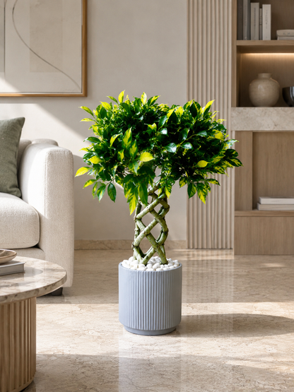 Linear Planters -  Light Grey