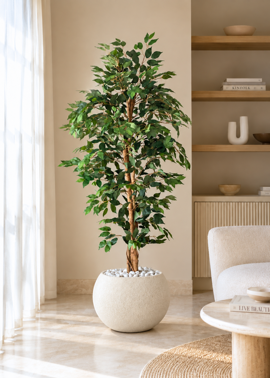 Artificial Weeping Ficus Plant - 6 Feet