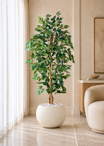 Artificial Weeping Ficus Plant - 6 Feet