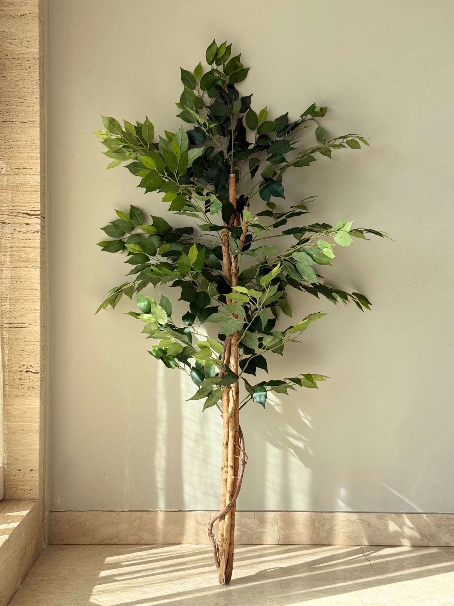 Artificial Grove Ficus Plant - 5 Feet