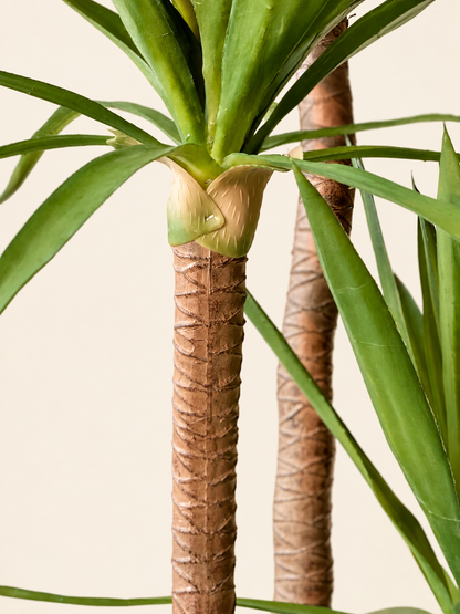 Artificial Tropical Yucca Plant  - 5 Feet