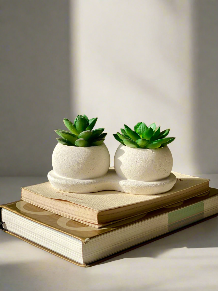 Artificial Green Twin Succulent