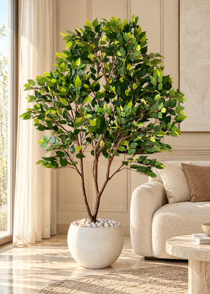 Artificial Weeping Fig Trio Plant  - 6.5 Feet