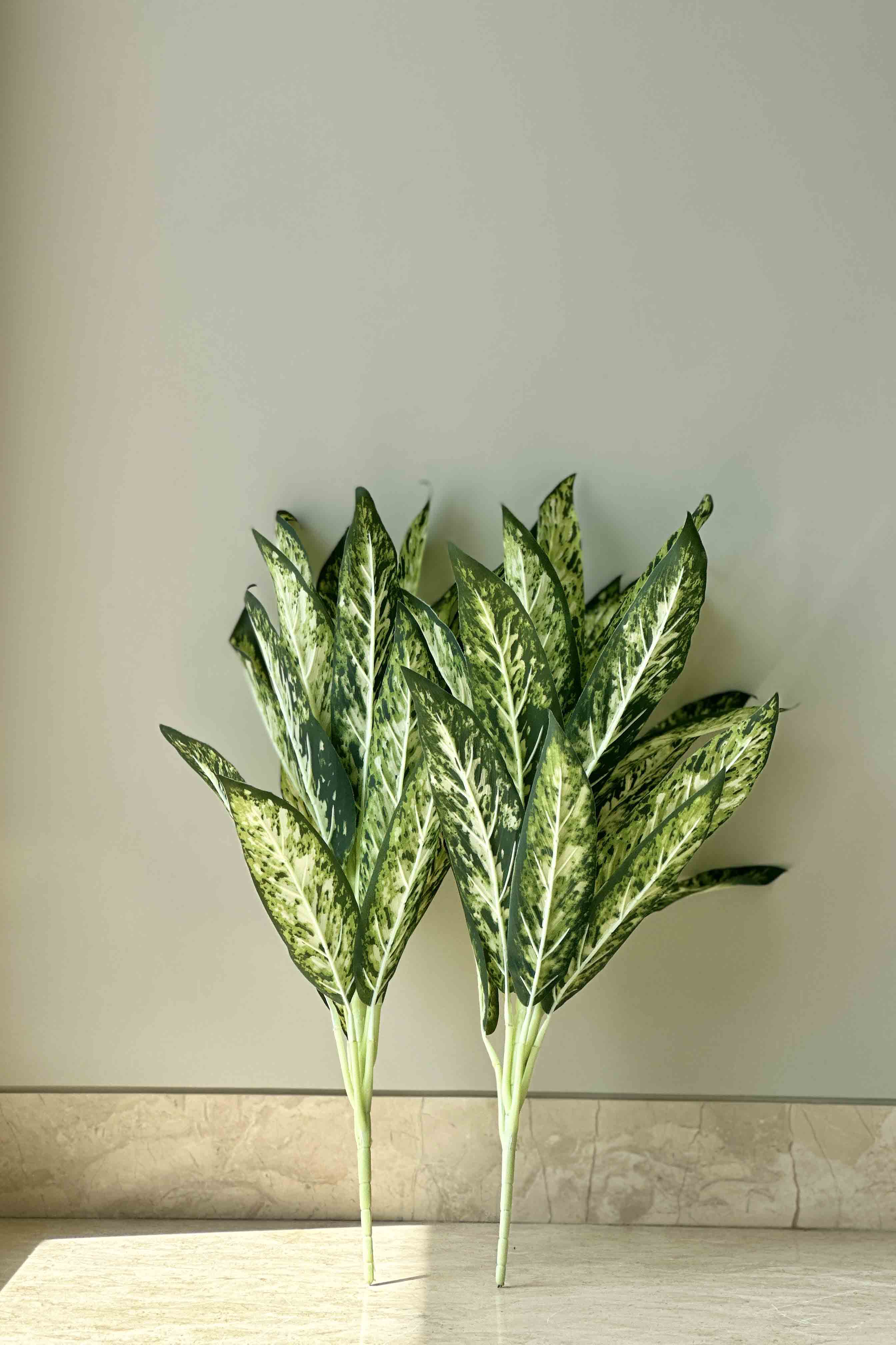 Artificial Chinese Evergreen Plant 2 Feet Set Of 2 Mason