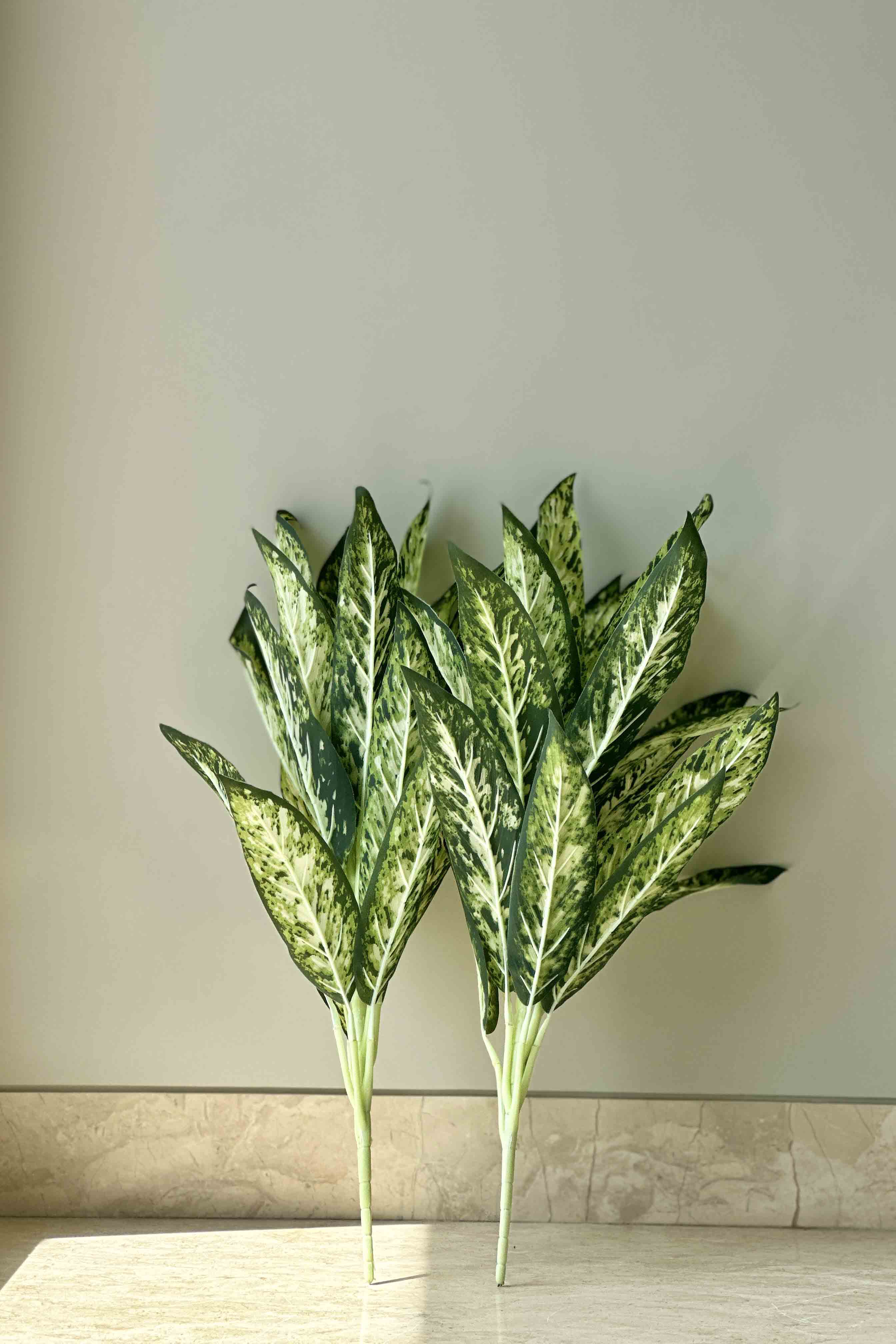 Artificial Chinese Evergreen Plant - 2 Feet (Set Of 2)