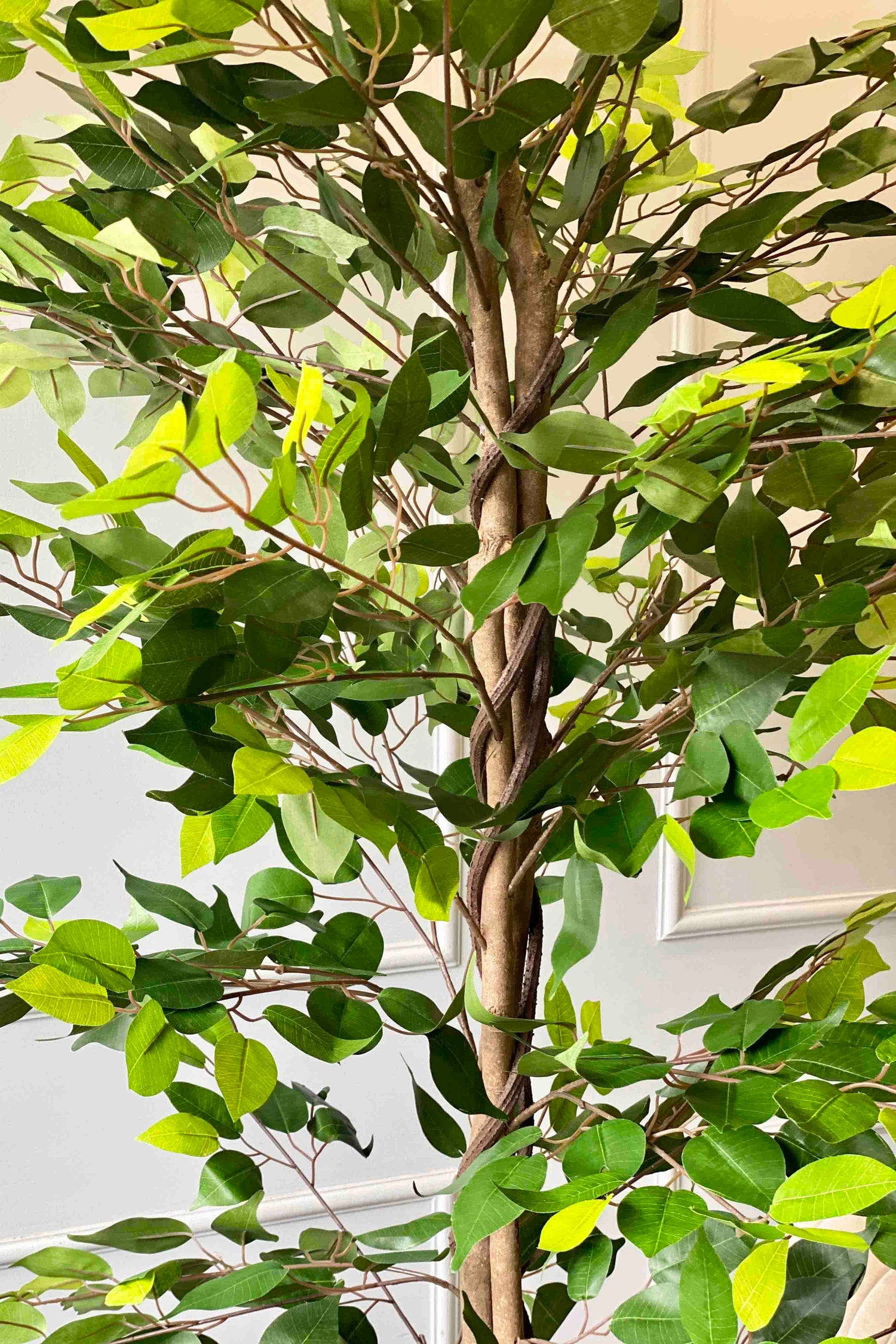 Artificial Weeping Ficus - 6 Feet