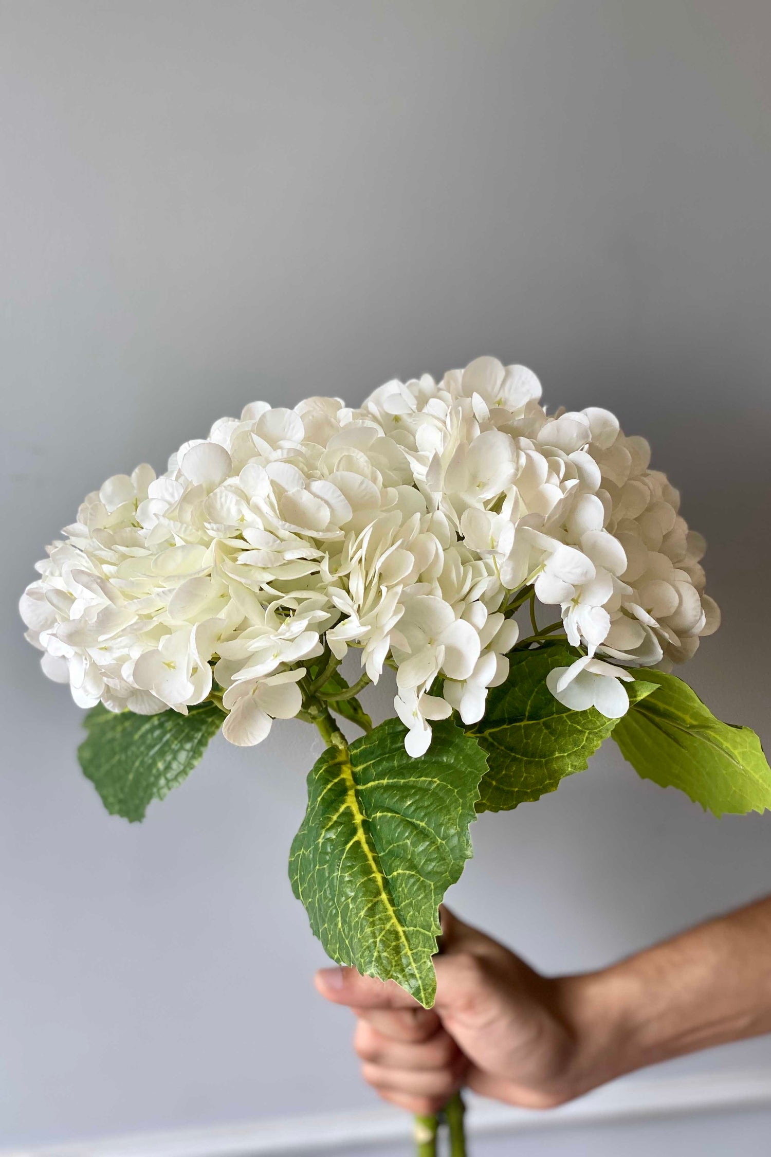 Artificial White Hydrangea Flower - Set Of 2
